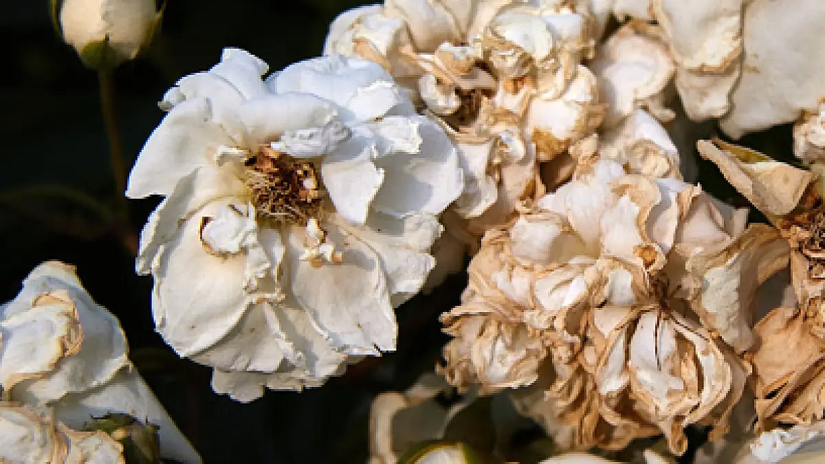 Poems about reflecting 