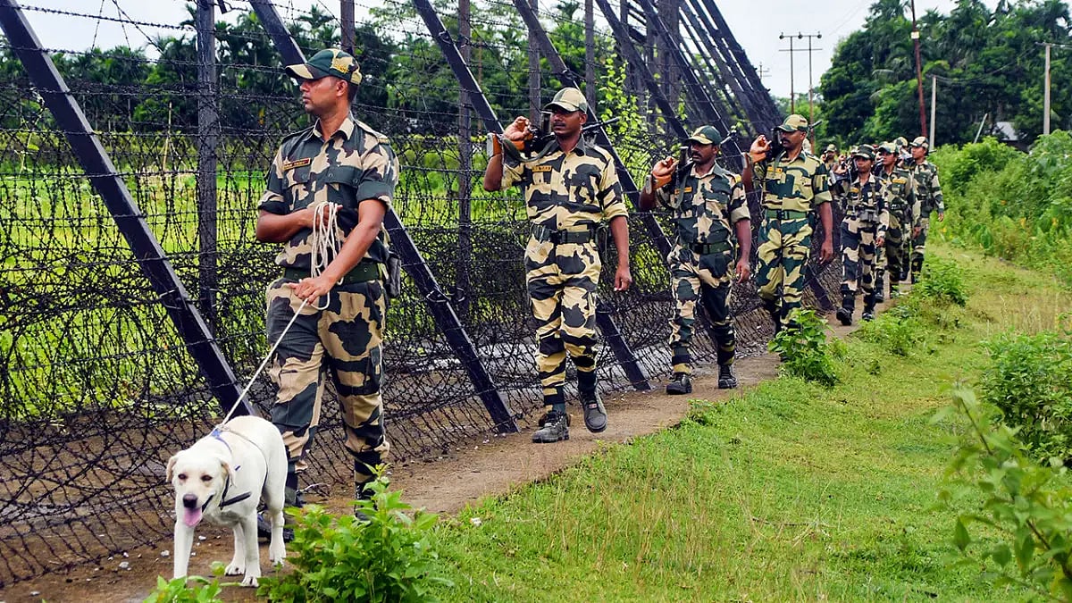 BSF patrolling at Indo-Banglaesh border 