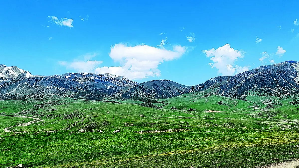 We The People: How A Doctor Saved One Of Kashmir’s Most Famous Meadows