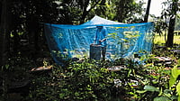 We The People: The Migratory Beekeepers Fighting To Keep Bees And The Planet Alive