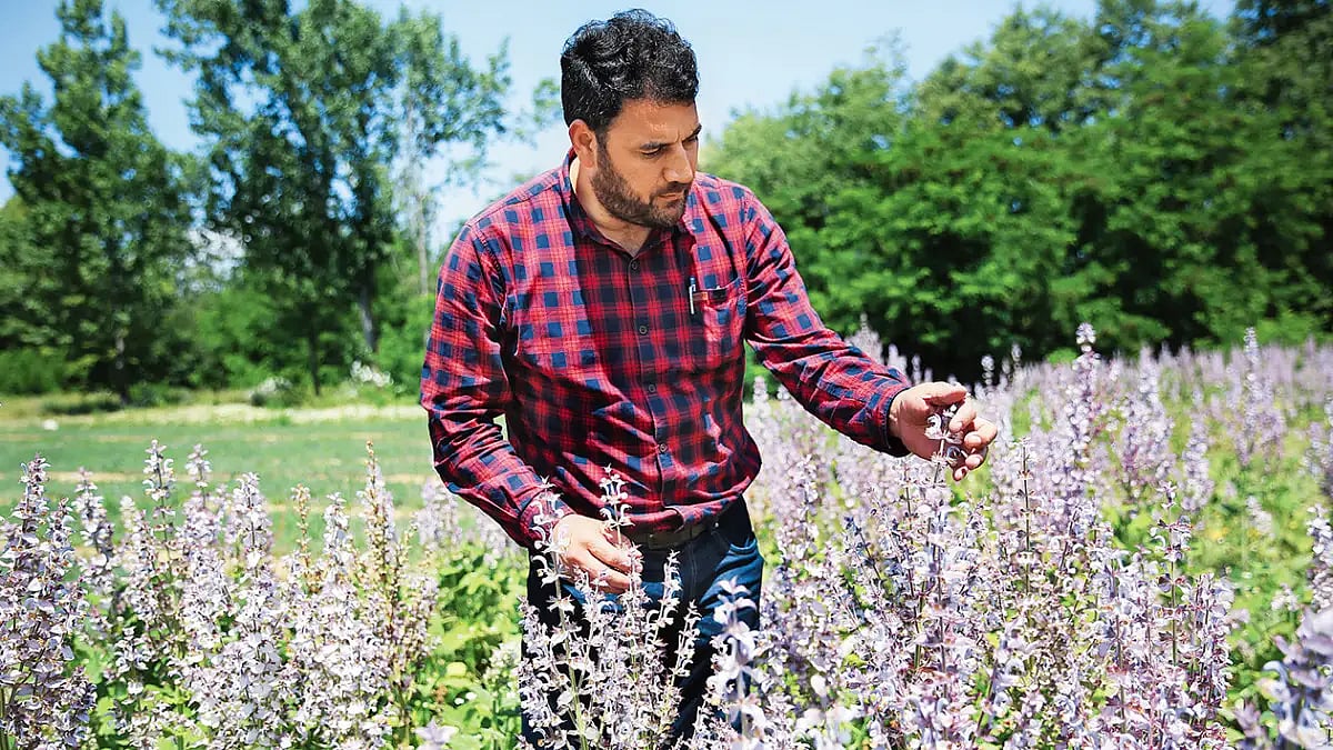 We The People: The Scientist Who Dreamt Of Growing Lavender In J&K