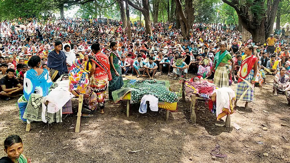 We The People: The Forest Has Rights