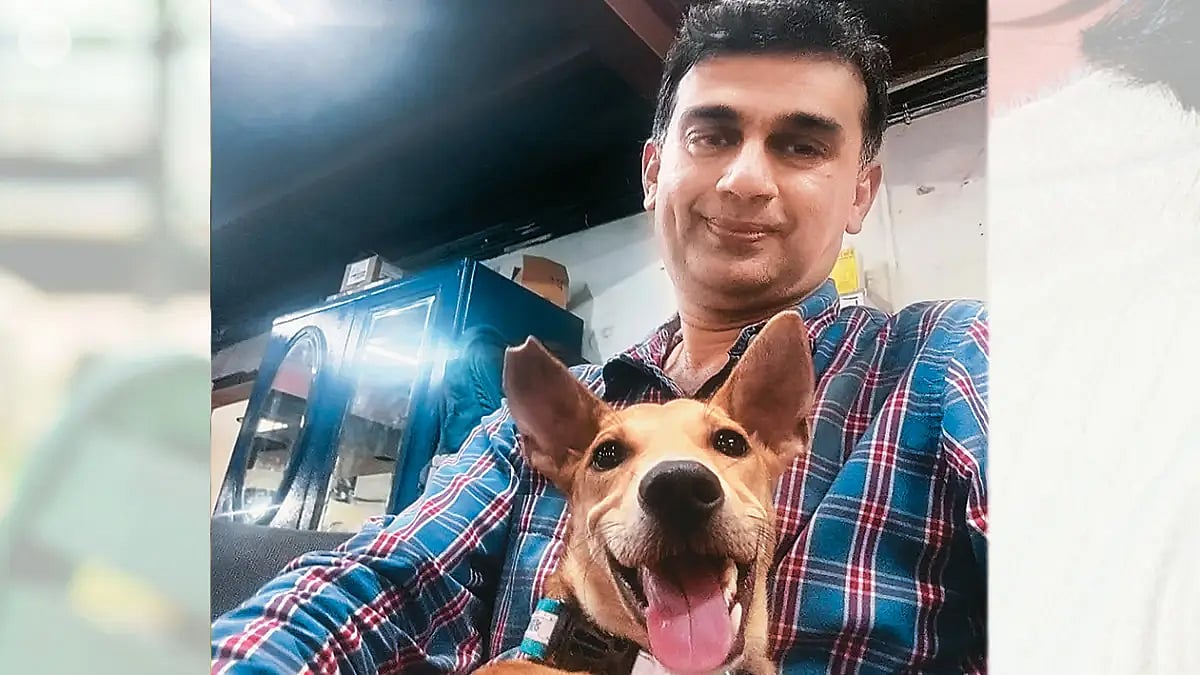 We The People: Messiah For Stray Dogs