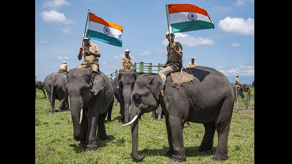 Not Fed Bananas, Angry Elephant Kills Mahout