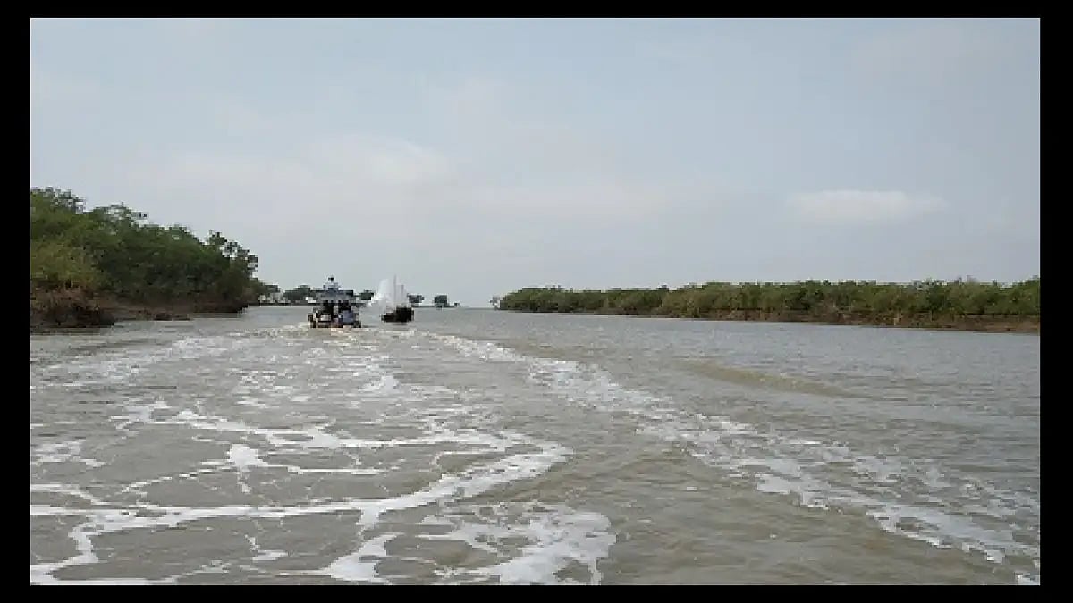 Sailing along the channel through the mangrove forest