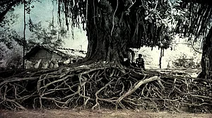 A man under a tree...