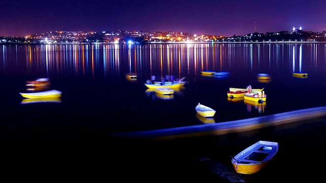Bhopal Diary