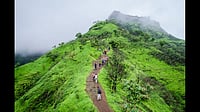 Monsoon Travel: Fort Trekking In Maharashtra Trek to hill forts of Maharashtra during the monsoon