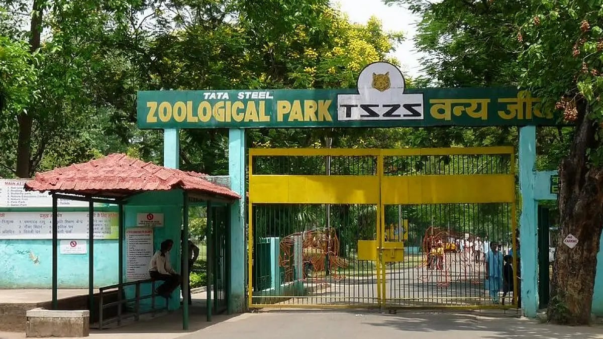 Water entered the low lying areas of the zoo, near the leopard enclosure, causing a tragic incident - null