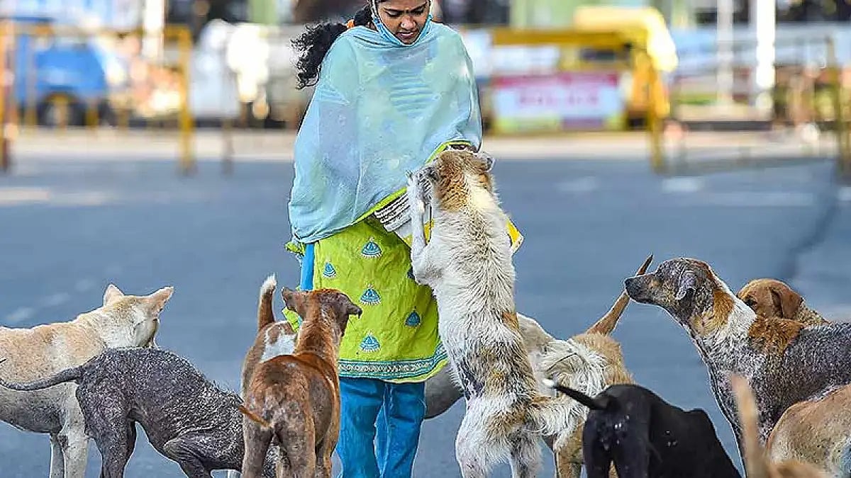 A woman dies due to rabies in Kerala