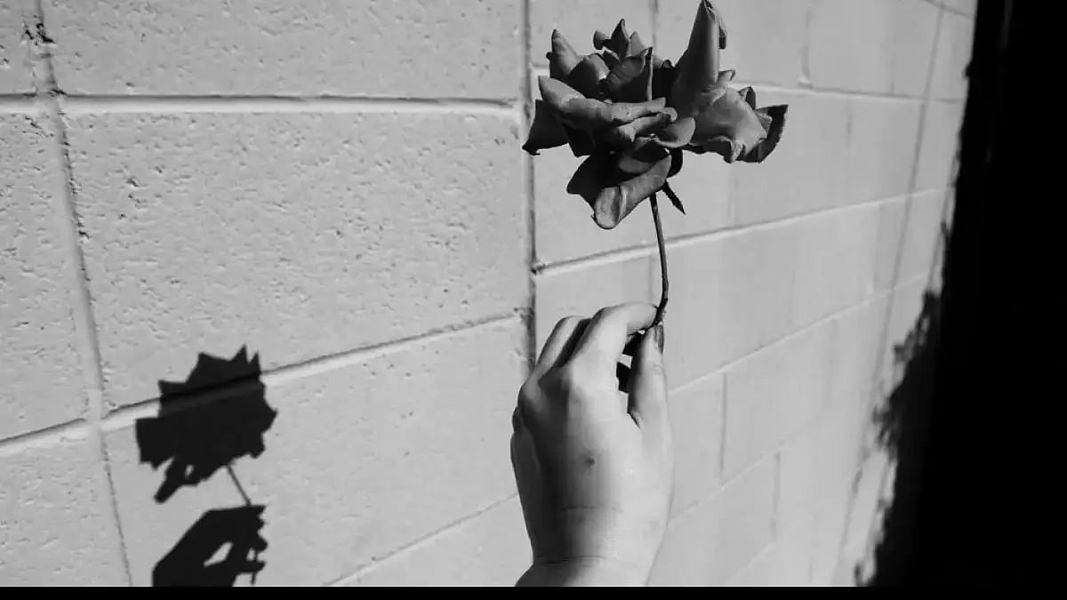 Poems on karma, dhamma and friendship