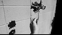Poems on karma, dhamma and friendship