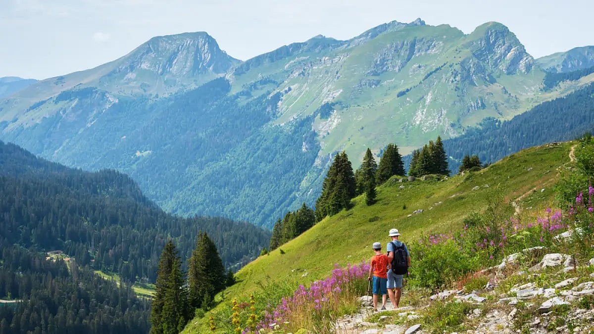A father-son duo hiking in the French Alps in summer near Avoriaz in Haute-Savoie, Auvergne-Rhone-Al