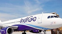 Bird Hit Damages Indigo Aircraft in Dehradun; All 186 Passengers Safe Bird Hit Damages Indigo Aircraft in Dehradun