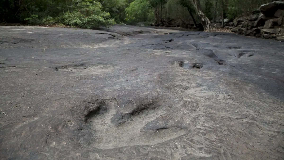 The trails are visible now due to dry weather.