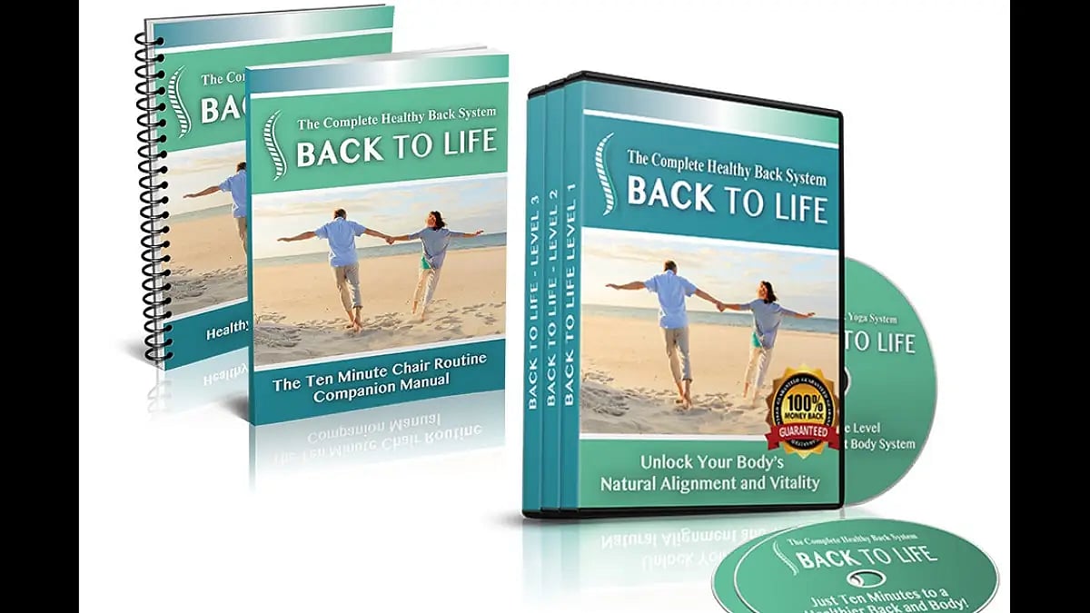 Back to life system Emily Lark