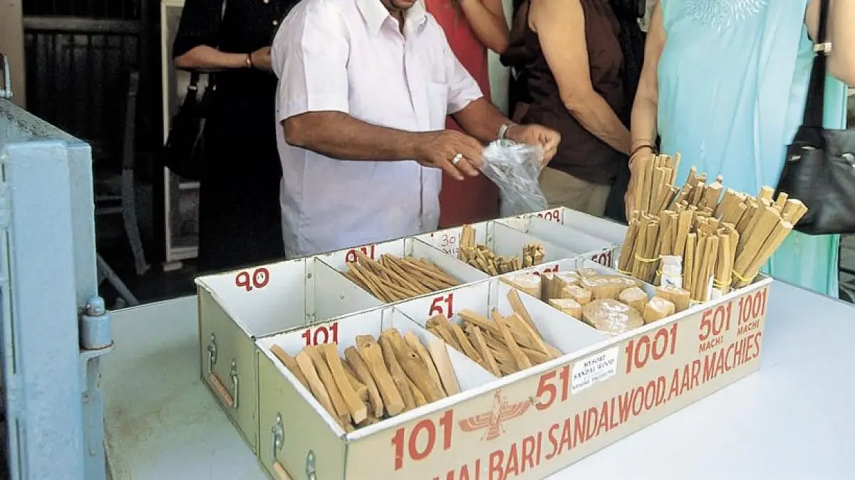 Sandalwood plantation drive launched in Qutabgarh village