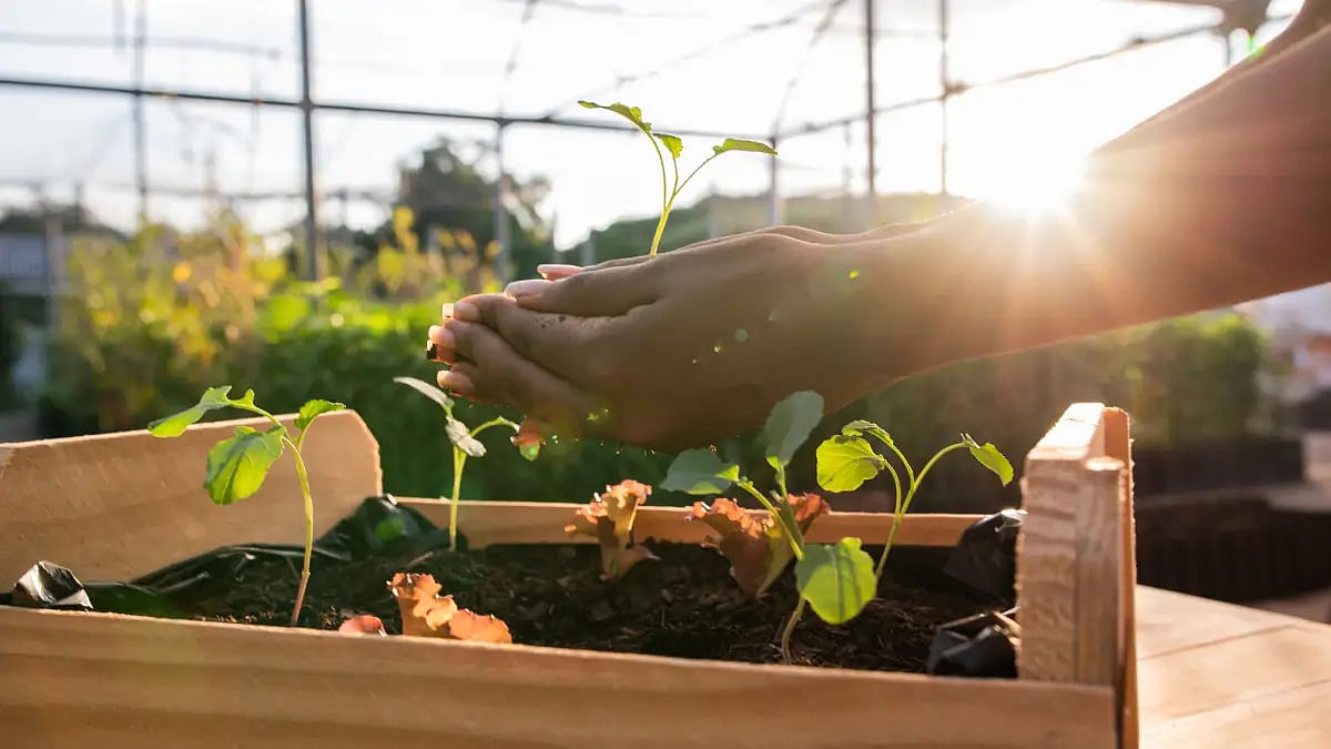 Representational Image