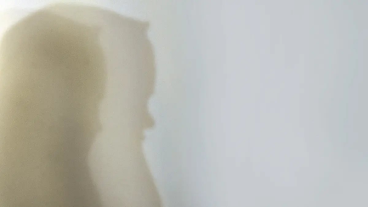 Poems For Bilkis Bano: Wake Up, Blindfolded Woman