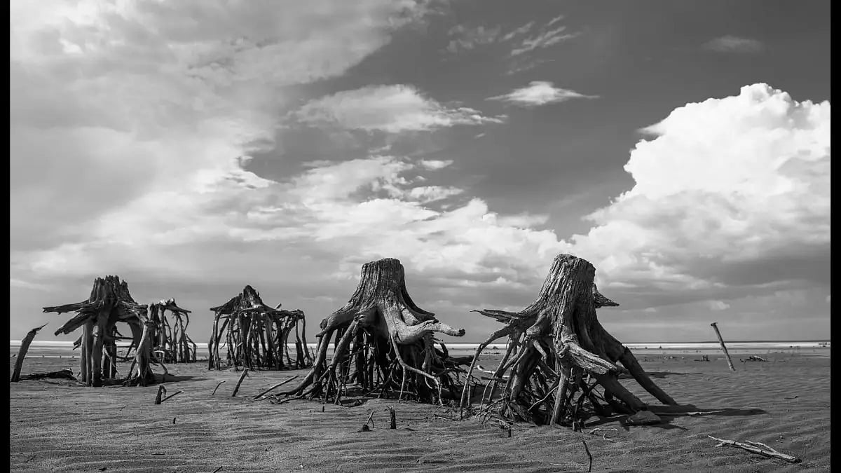 Oh a grand Earth was I...