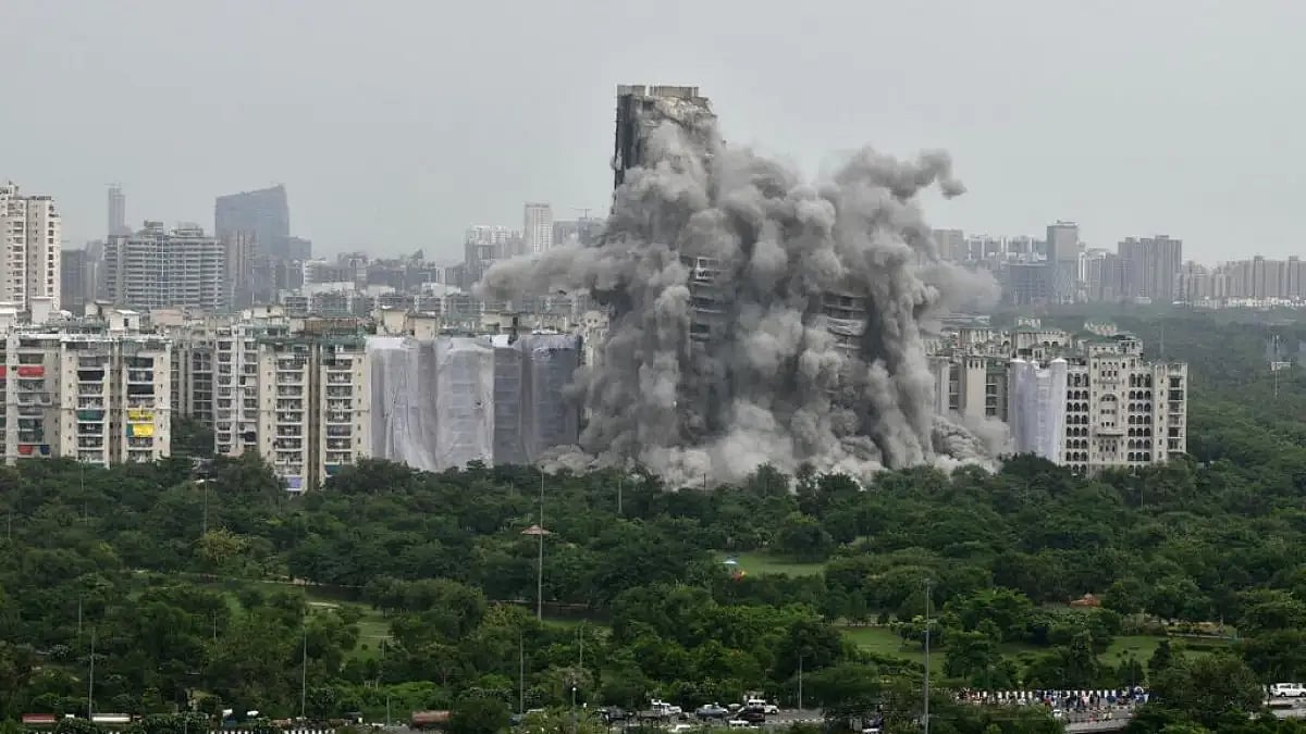 Voiceless creatures saved before the demolition of Twin Tower