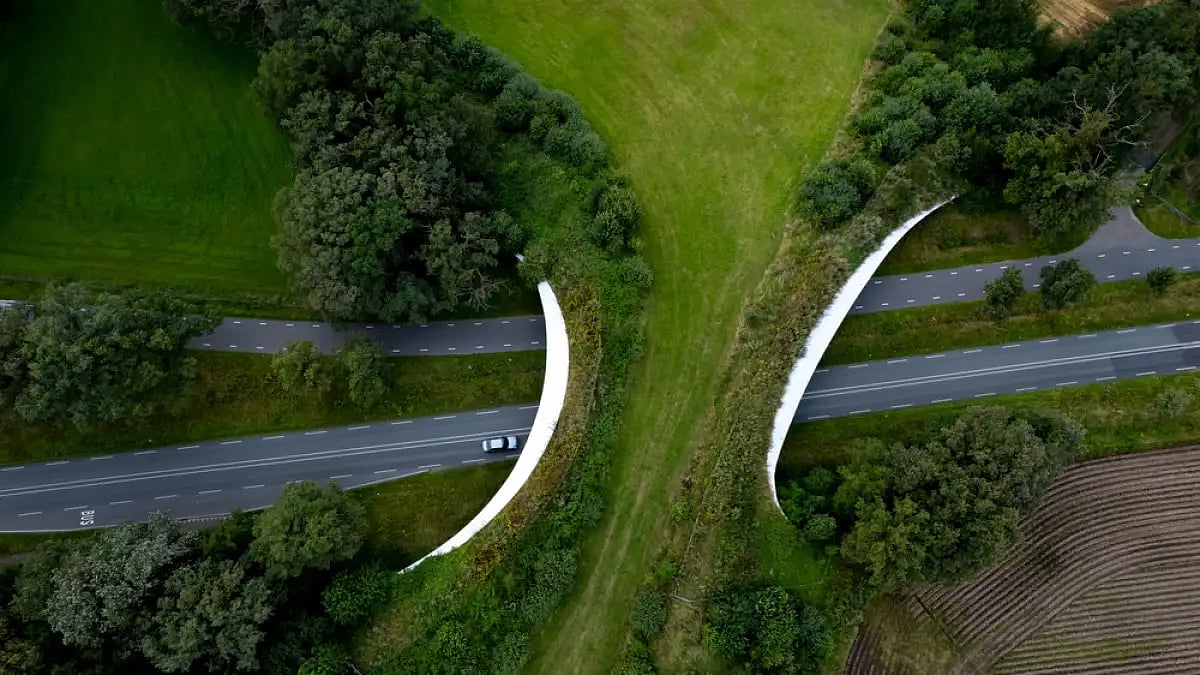 Representative Image.