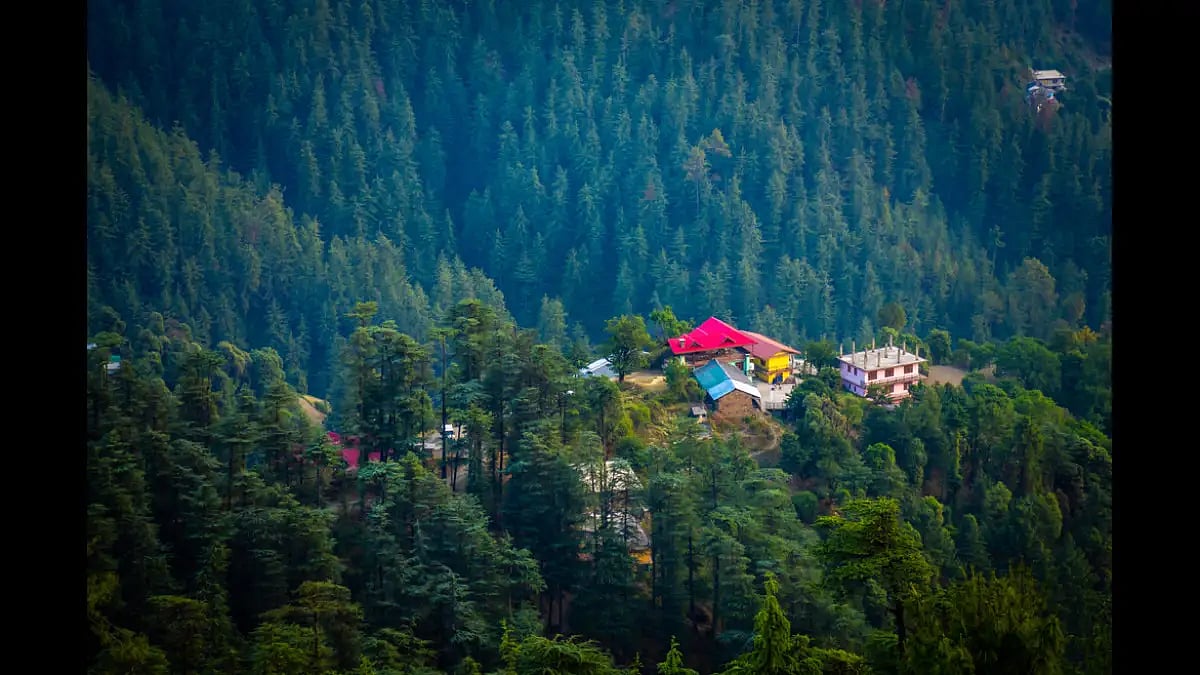 Escape crowded Shimla and find refuge in the smaller retreats around it