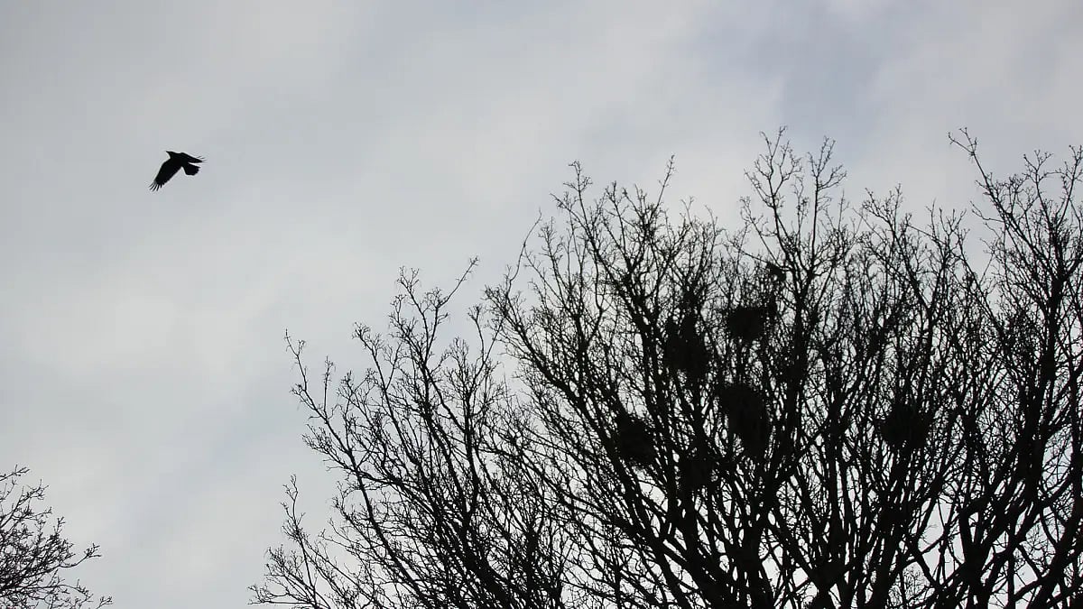 Charting unknown territories