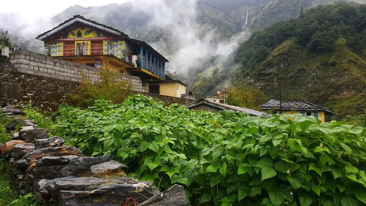 These 3 Sustainable Homestays In India Are Changing The Way We Look At Tourism