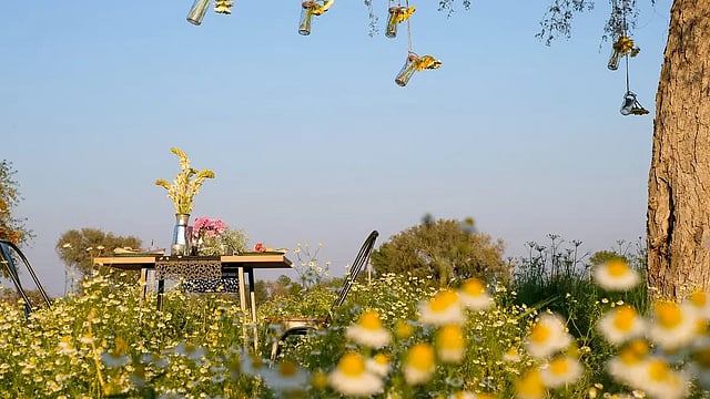 Sustainable Farm Experiences For Your Next Vacation