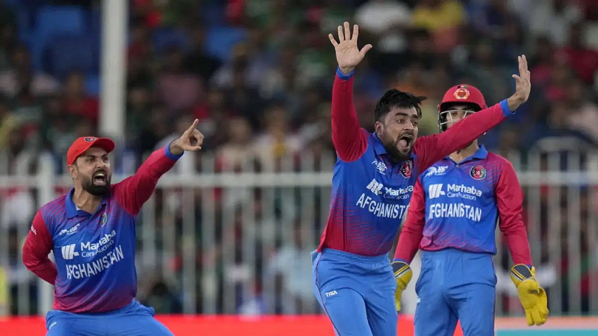 | Photo: File : File photo of the Afghanistan national crikcet team's Mohammad Nabi and Rashid Khan.