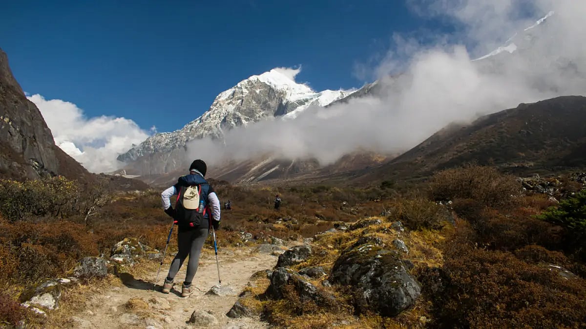 On the Goechala trek route in Sikkim, with Mount Pandim in the background