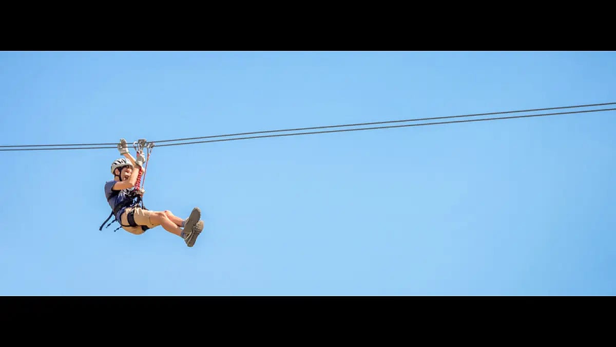 Soaring with the birds