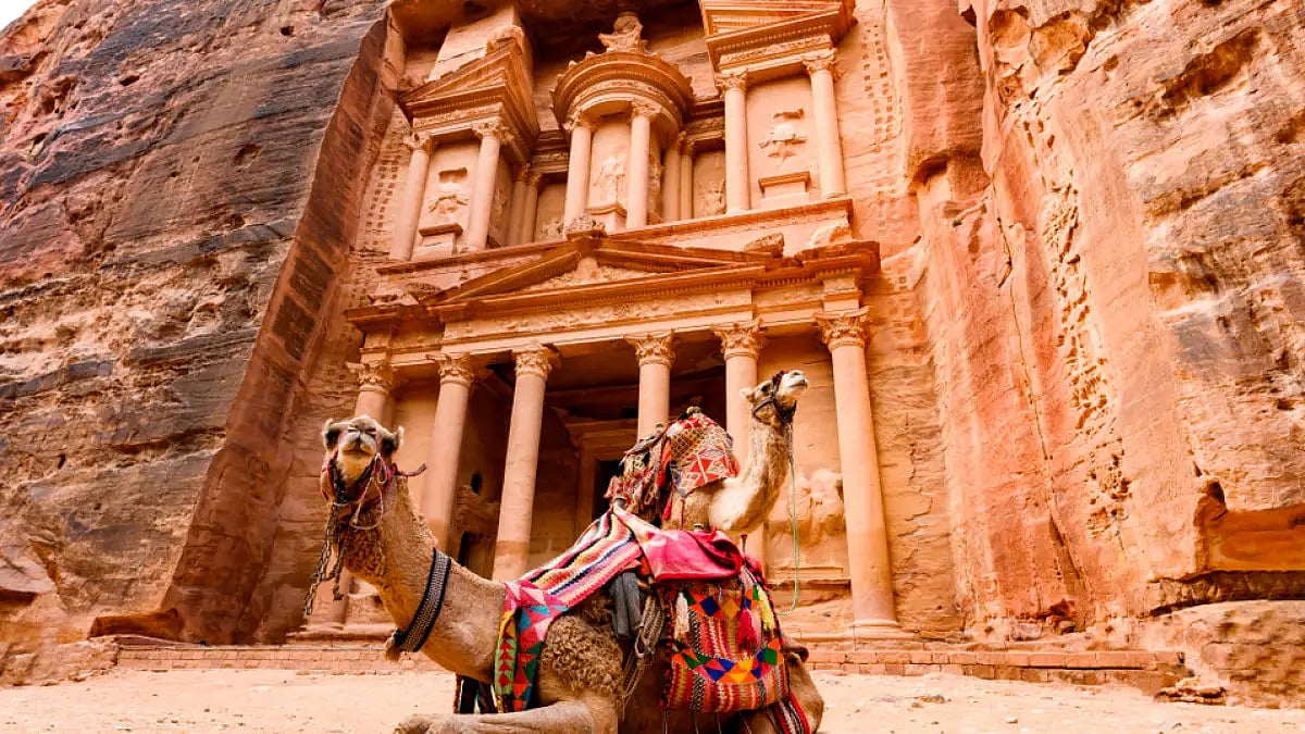 Spectacular view of two beautiful camels in front of Al Khazneh (The Treasury) at Petra