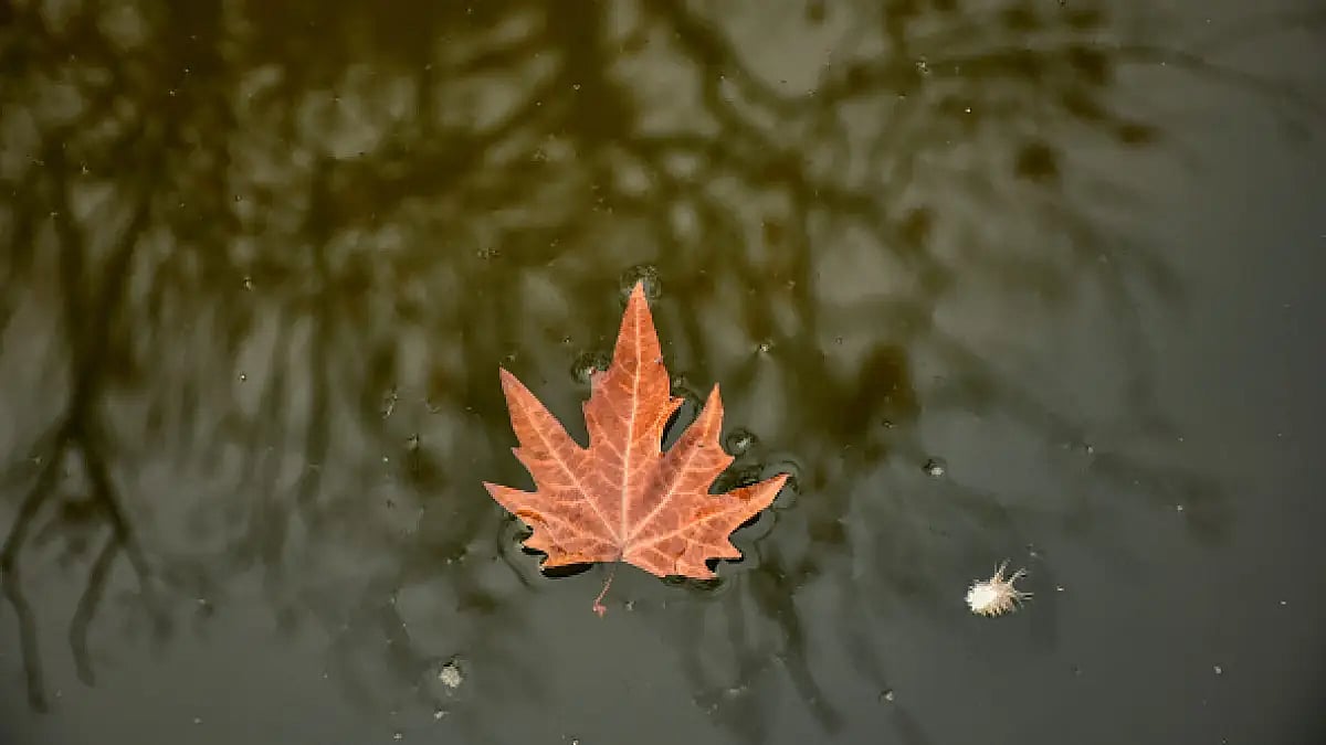 Remembering the first meeting