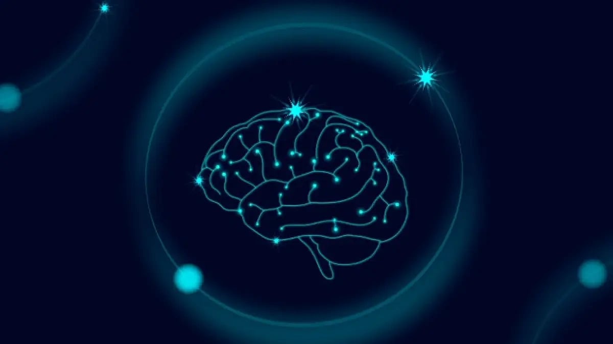 Best Nootropics: Top 3 Brain Supplements & Smart Drugs