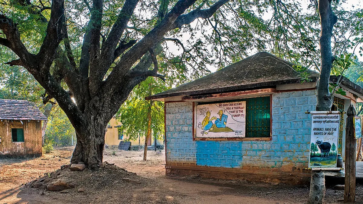 Forest check post Tadoba National Park, Chandrapur