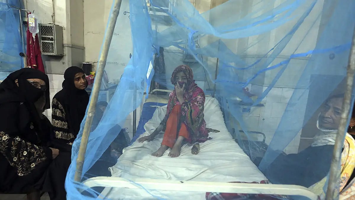 Pakistani patient suffering from dengue fever 