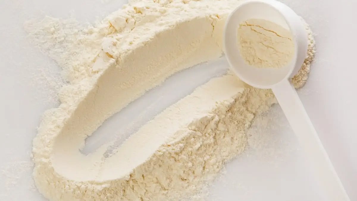 Best Vanilla Protein Powders of 2022