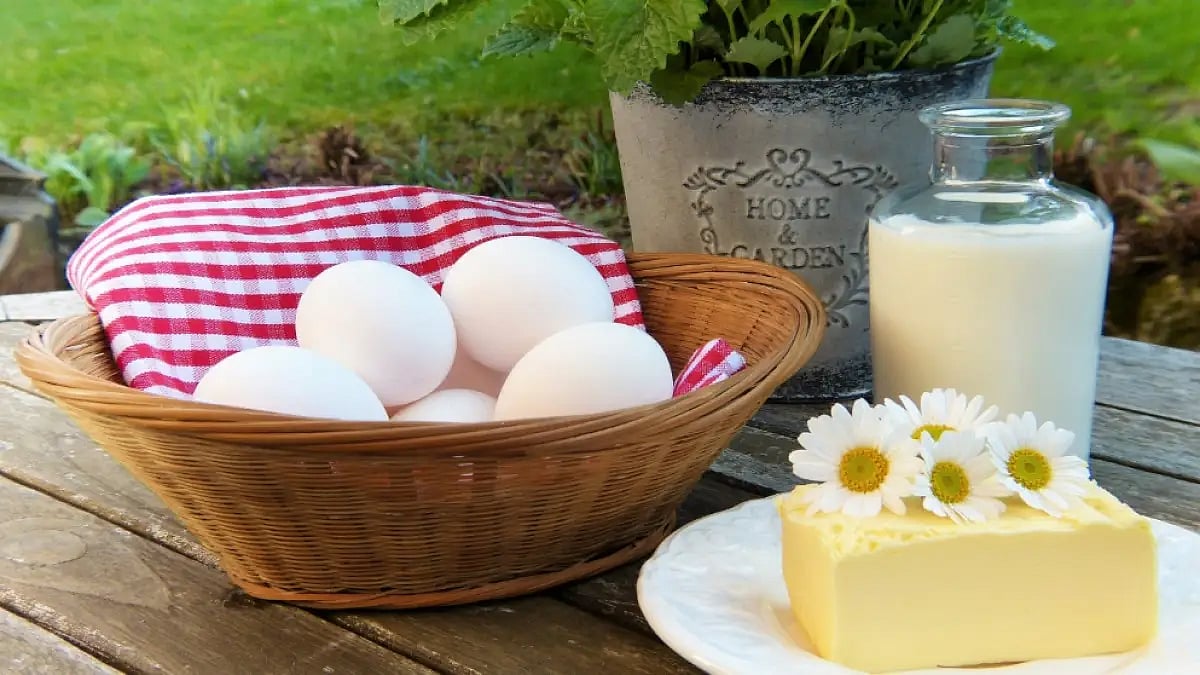 Best Calcium Supplements