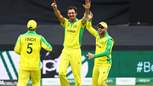 David Warner, Mitchell Starc, Marcus Stoinis, Mitchell Starc Return To Australia Squad For West Indies T20Is