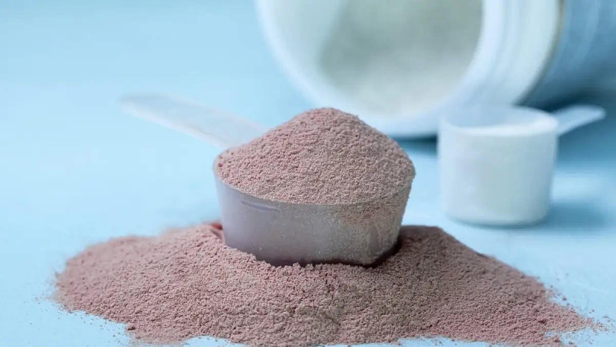 Best Tasting Protein Powders