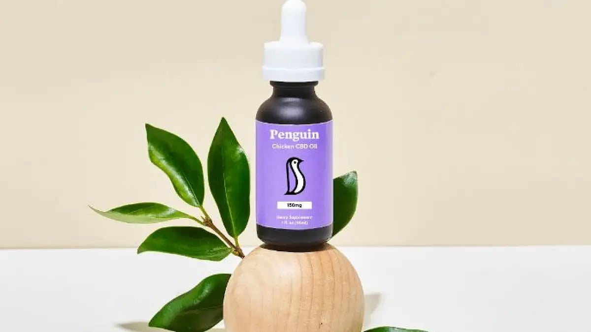 20 Best CBD Oils For Dogs