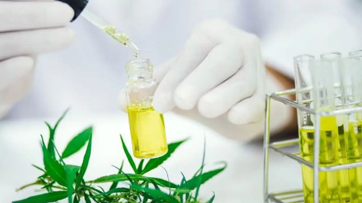 The Delta 8 Brands To Avoid & Most Trusted Companies