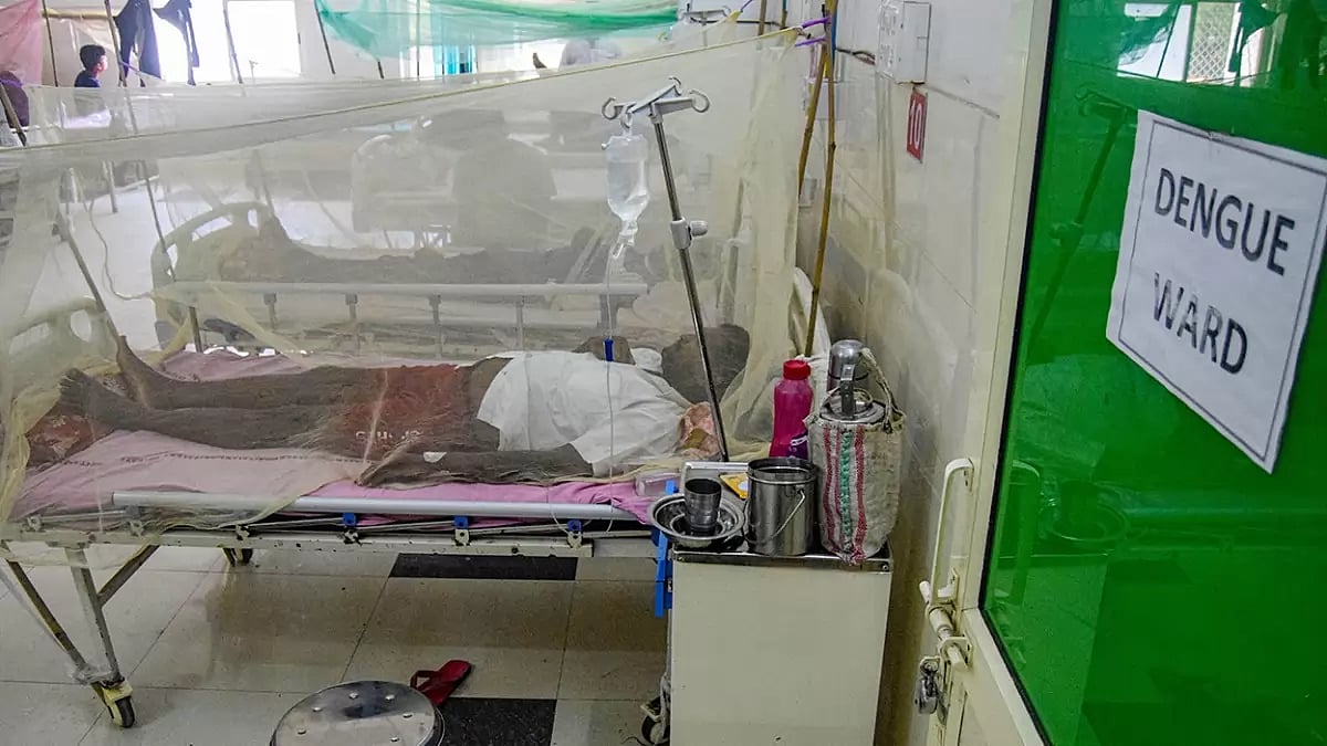 Dengue cases in Prayagraj 