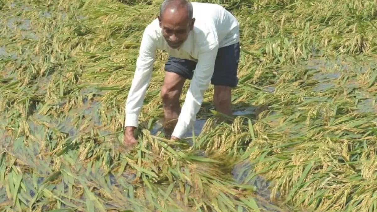Heavy rains lash the state of UP in first week of October