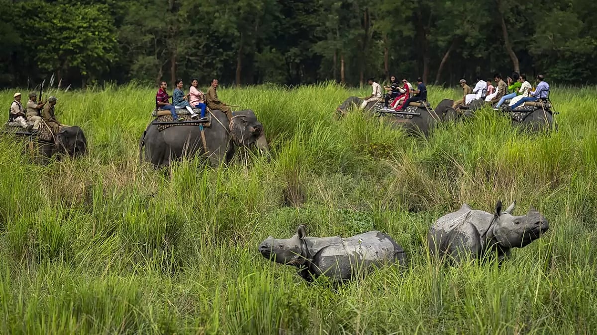 Pobitora Wildlife Sanctuary