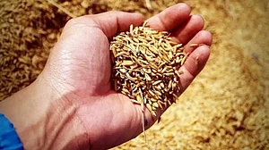 Representational Image