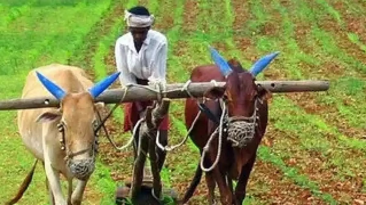 One Nation One Fertiliser scheme