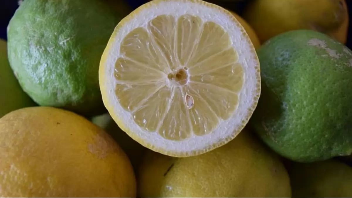 Dengue patient given mosambi juice instead of plasma